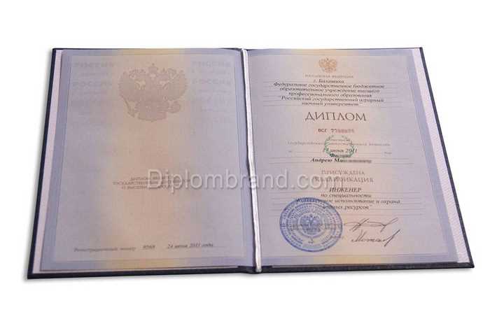 Диплом специалиста с 2010 по 2011 годы Бланк Гознак (Образец)